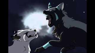 Serious wolf fight animation [upl. by Dippold]