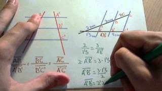 Teorema de Tales o Thales matemáticas [upl. by Idelson]