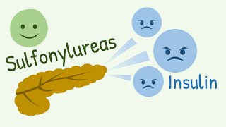Mechanism of Action of Sulfonylureas and Meglitinide Analogs [upl. by Salkcin]