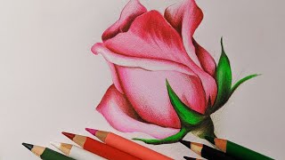 COMO DIBUJAR UNA ROSA FÁCIL  DIBUJOS DE ROSAS [upl. by Zea]