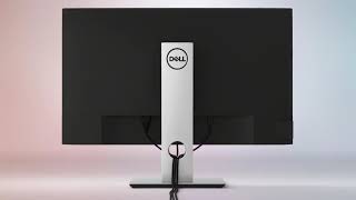 Dell 22 Monitor  P2219H [upl. by Leunam]