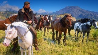 LES 17 CHEVAUX ULTRAS LÉGENDAIRES RED DEAD REDEMPTION 2 [upl. by Conney]