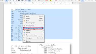 Esquema numerado en LibreOffice [upl. by Meingolda]