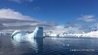 Cuverville Island  Antarctica [upl. by Maje]