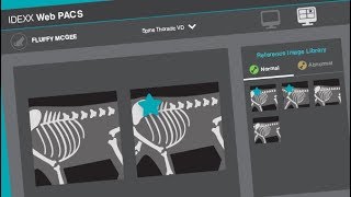 The IDEXX Web PACS Reference Image Library [upl. by Miah]