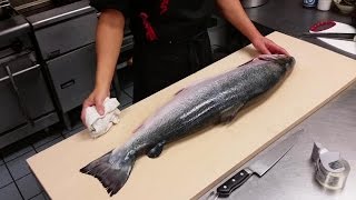 How to Filet a Whole Salmon [upl. by Isola]