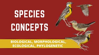 SPECIES CONCEPTS BIOLOGICAL MORPHOLOGICAL ECOLOGICAL PHYLOGENETIC [upl. by Wendell]