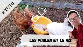 Les Poules et le Riz [upl. by Carrelli]