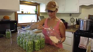 How to Can Green Beans Our FIRST Canning Goal REACHED [upl. by Cardie]