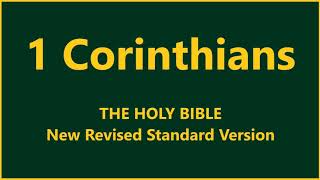 New Revised Standard Version  1 Corinthians [upl. by Ellissa]