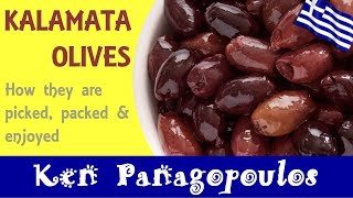 Kalamata Olives  How Kalamata Olives Are Prepared amp Enjoyed [upl. by Gran]