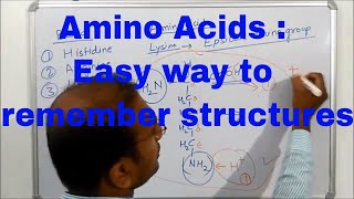 Amino acids an overview 2 in Hindi [upl. by Emil177]