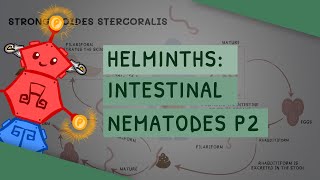 Helminths Intestinal Nematodes Part 2 features clinical importance diagnosis treatment [upl. by Ahtebbat7]