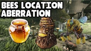 BEE HIVE AND HONEY LOCATION IN ABERRATION Ark Survival Evolved [upl. by Laird]