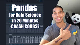 Pandas for Data Science in 20 Minutes  Python Crash Course [upl. by Allen]