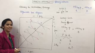 Pareto optimality and Edgeworth box diagram [upl. by Nywnorb447]