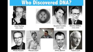 History amp Discovery of DNA [upl. by Latoniah993]