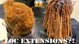 Loc Extension Tutorial Crochet Method [upl. by Yanel46]