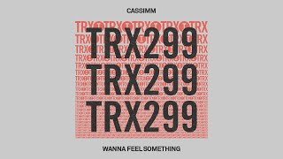 CASSIMM  Wanna Feel Something [upl. by Ardiedal397]