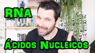 RNA  Ácidos Nucleicos  Compostos Orgânicos  Prof Samuel Cunha [upl. by Refotsirk]