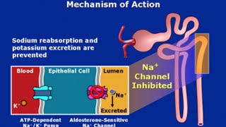 PotassiumSparing Diuretics [upl. by Yesiad]