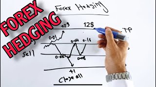 FOREX HEDGING STRATEGY [upl. by Hakceber656]