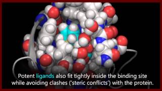 A basic introduction to drugs drug targets and molecular interactions [upl. by Aibara]