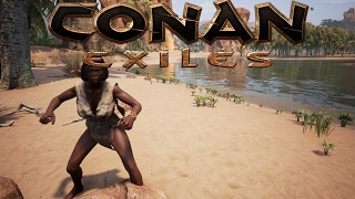 Conan Exiles  Guide to Thralls [upl. by Nnek]