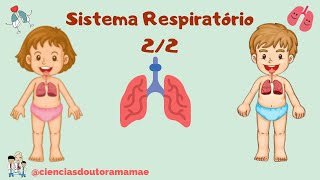 Sistema Respiratório 5º ano fundamental 22 [upl. by Londoner]