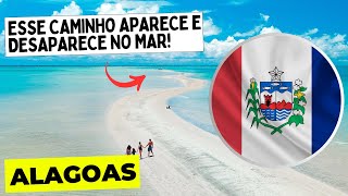 20 CURIOSIDADES sobre o ALAGOAS  Estados 02 [upl. by Pokorny]