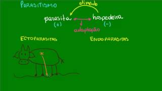 Parasitismo  Ecologia  Biologia [upl. by Fechter452]