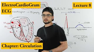 ECG Electrocardiogram fully explained  Chapter circulation  Video 8 [upl. by Rimidalb]