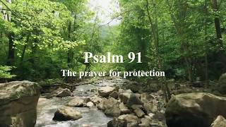 Psalm 91 NIV  Prayer for protection [upl. by Dickie]