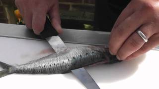 Passionate About Fish  How to prepare Sardines [upl. by Han]