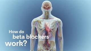 How do beta blockers work [upl. by Scornik]