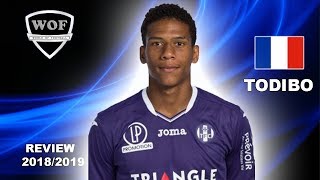 JEANCLAIR TODIBO  Fantastic Goals Skills Assists  Toulouse  20182019 HD [upl. by Cul813]