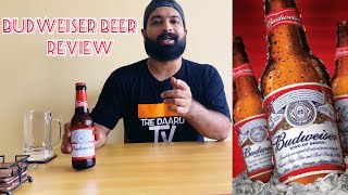 Budweiser Lager Beer Review l Thirsty Thursday budweiser [upl. by Akcirderf]