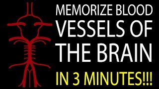 MNEMONIC Brains Blood Supply MEMORIZE in 3 Minutes [upl. by Elisabetta]