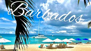 BARBADOS Holiday Caribbean PARADISE  Paynes Bay Beach  Platinum Coast [upl. by Porty]