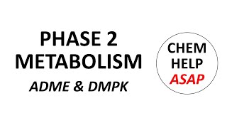 phase 2 drug metabolism [upl. by Sihon]