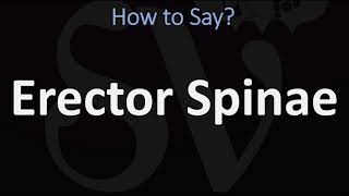 How to Pronounce Erector Spinae CORRECTLY [upl. by Angelico]