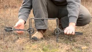 Fur Trapping  How to set a Conibear Trap [upl. by Shadow]