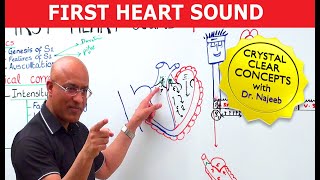 S1 Heart Sounds and Murmurs  First Heart Sound  Dr Najeeb🫀 [upl. by Schreiber]