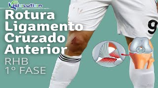 Ligamento Cruzado Anterior  REHABILITACIÓN con EJERCICIOS  1º FASE  Fisiolution [upl. by Noivad]