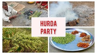 Hurda Party  हुरडा पार्टी [upl. by Oijres]