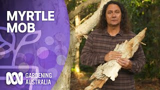 Myrtle Mob  Australian native plants  Gardening Australia [upl. by Ancel]