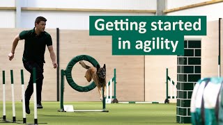 How to get started in Dog Agility  Dog Tips and Tricks [upl. by Castra]