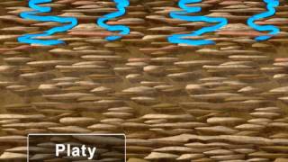 Water Movement in Soil [upl. by Bickart877]