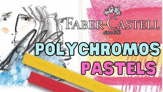 Faber Castell Polychromos Pastels  Review [upl. by Cahra]