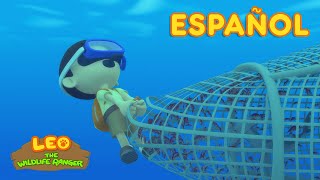 El Tiburón Martillo Común Español  Leo El Explorador Episodio  Animación  Familia  Niños [upl. by Eenaj]